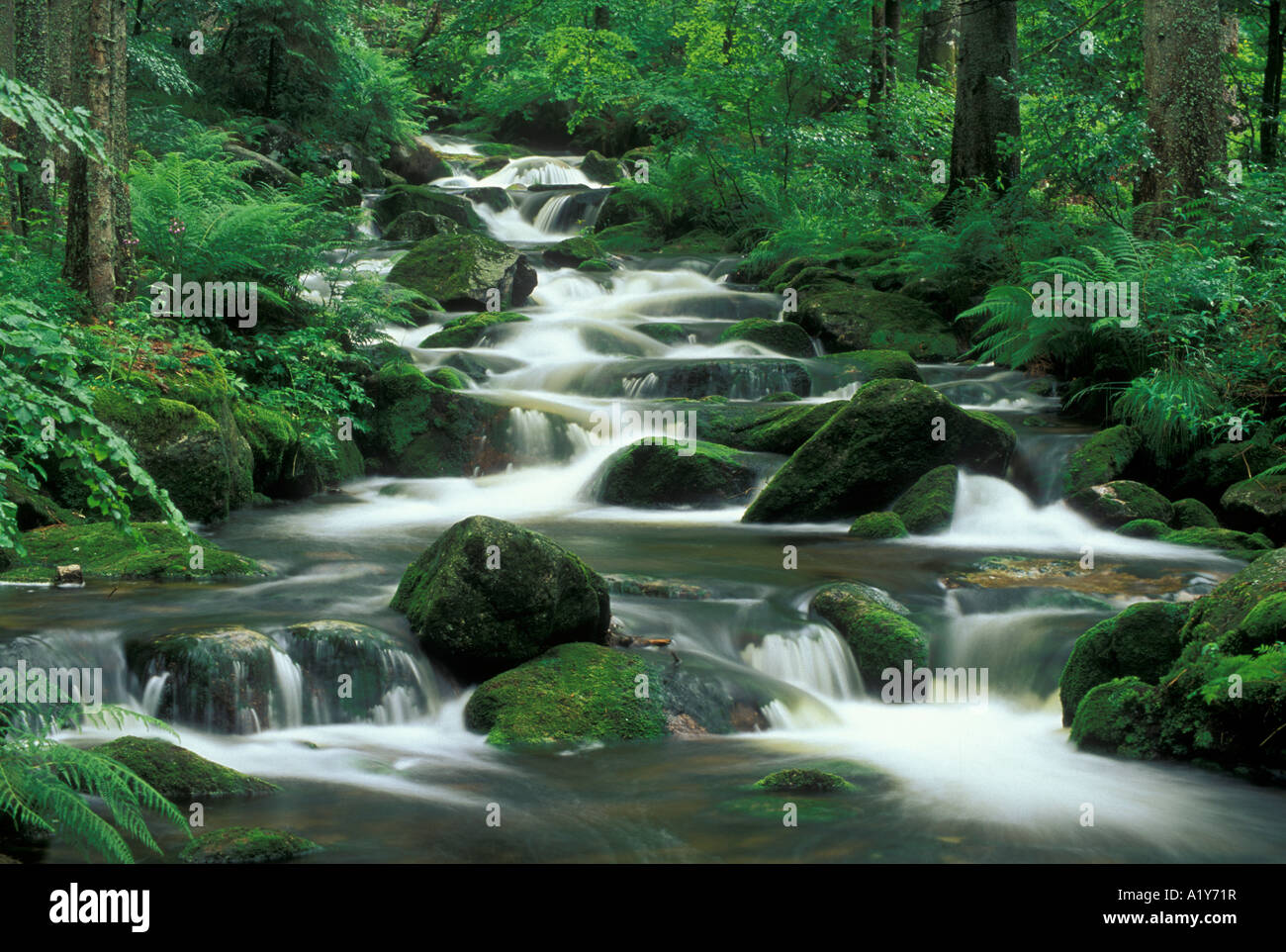 Lake Ohe, Bavaria, Germany Stock Photo