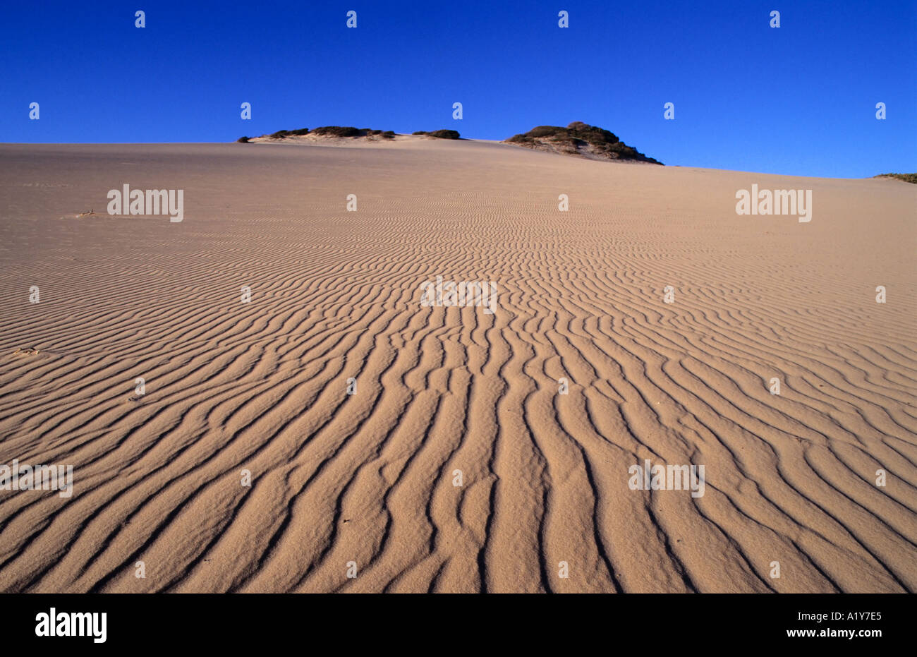Sand dunes brazil hi-res stock photography and images - Alamy
