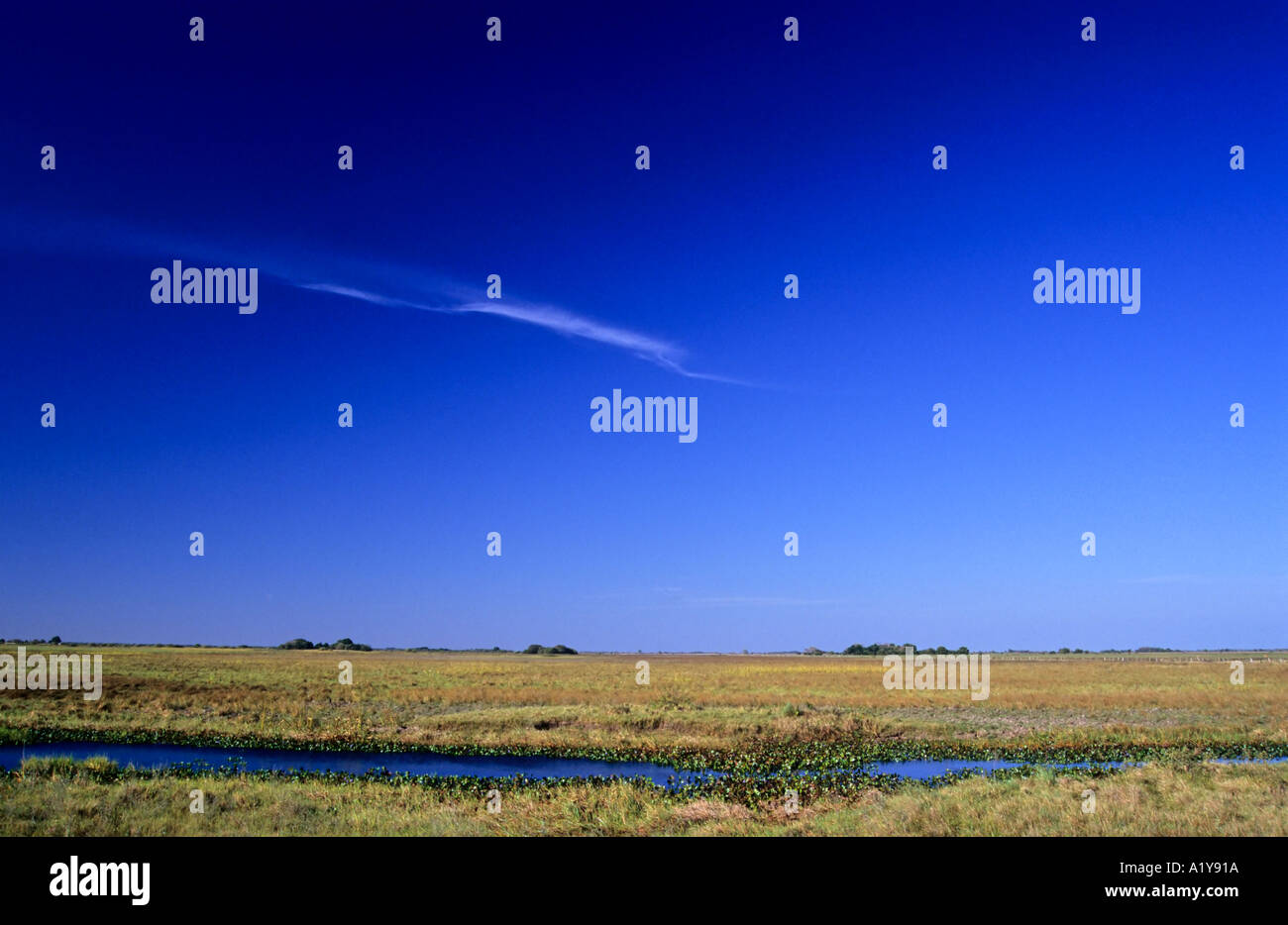 Bigs skies over Los Llanos, near Mantecal, Venezuela Stock Photo