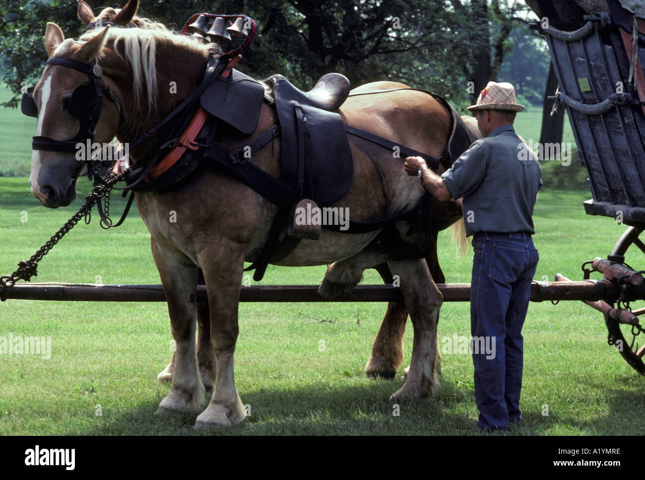 Conestoga wagon museum hires stock photography and images Alamy