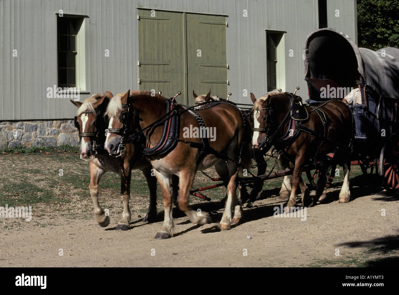 Conestoga wagon museum hires stock photography and images Alamy