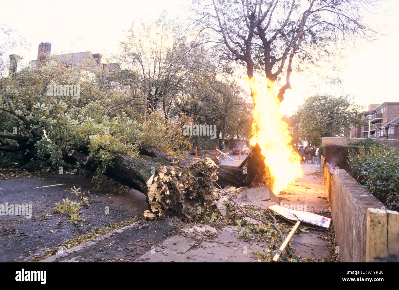 UK HURRICANE 16TH OCT 1987 LONDON FALLEN TREE RUPTURED GAS LINE Stock