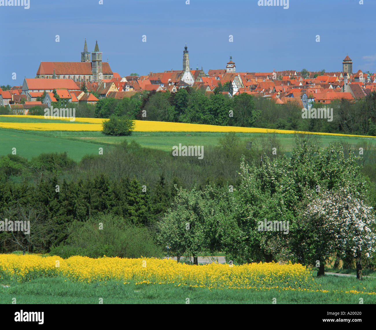 Fields and trees in front of the town skyline of Rothenburg ob der ...