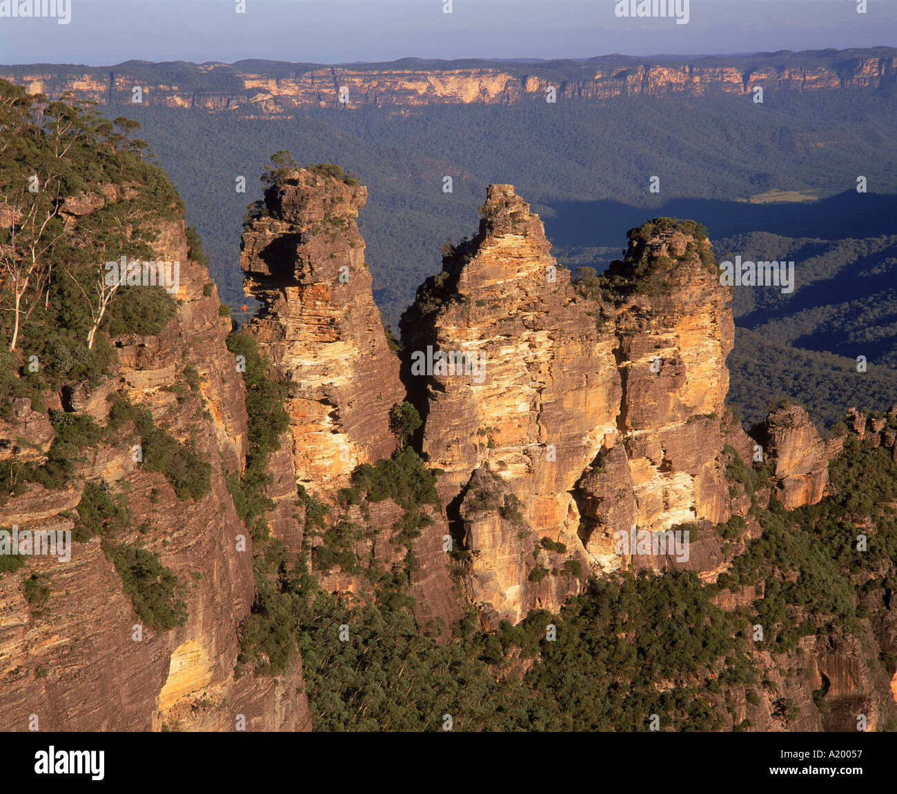 My Image 31