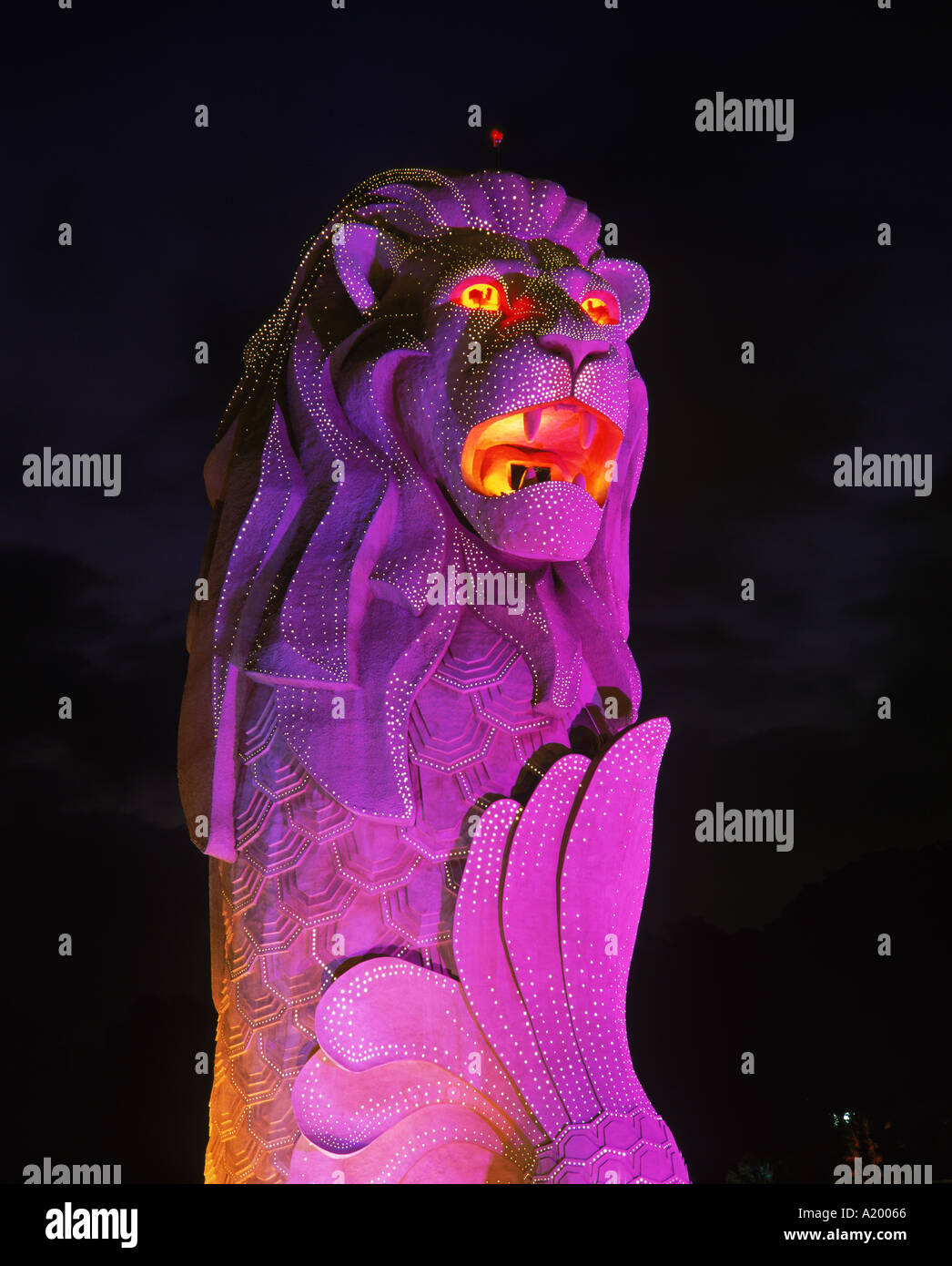 The Merlion statue the symbol of Singapore in purple light at night in ...