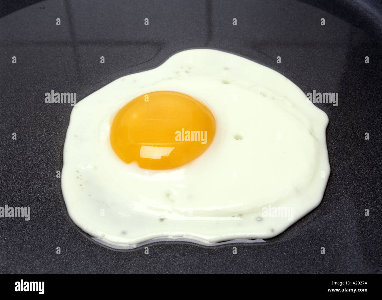 egg fried sunny side up
