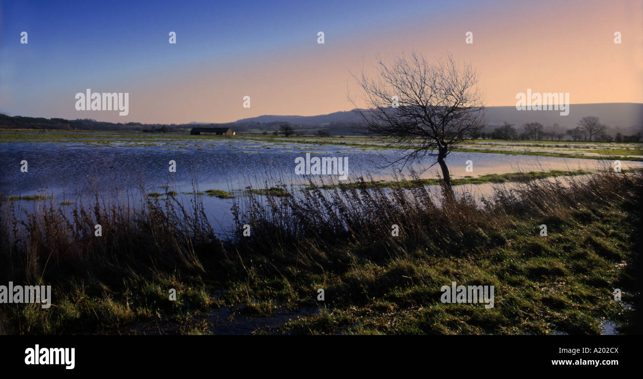 Watermeadow atmosphere Panorama Amberley Wildbrooks rich flood meadow traditional watermeadow in winter flooding condition Stock Photo