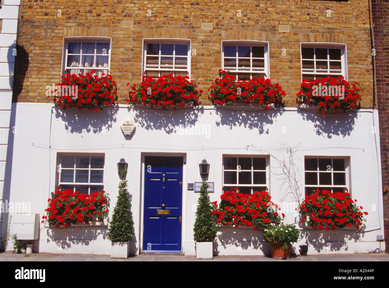 Terraced house with windowboxes of geraniums in Smith Terrace London