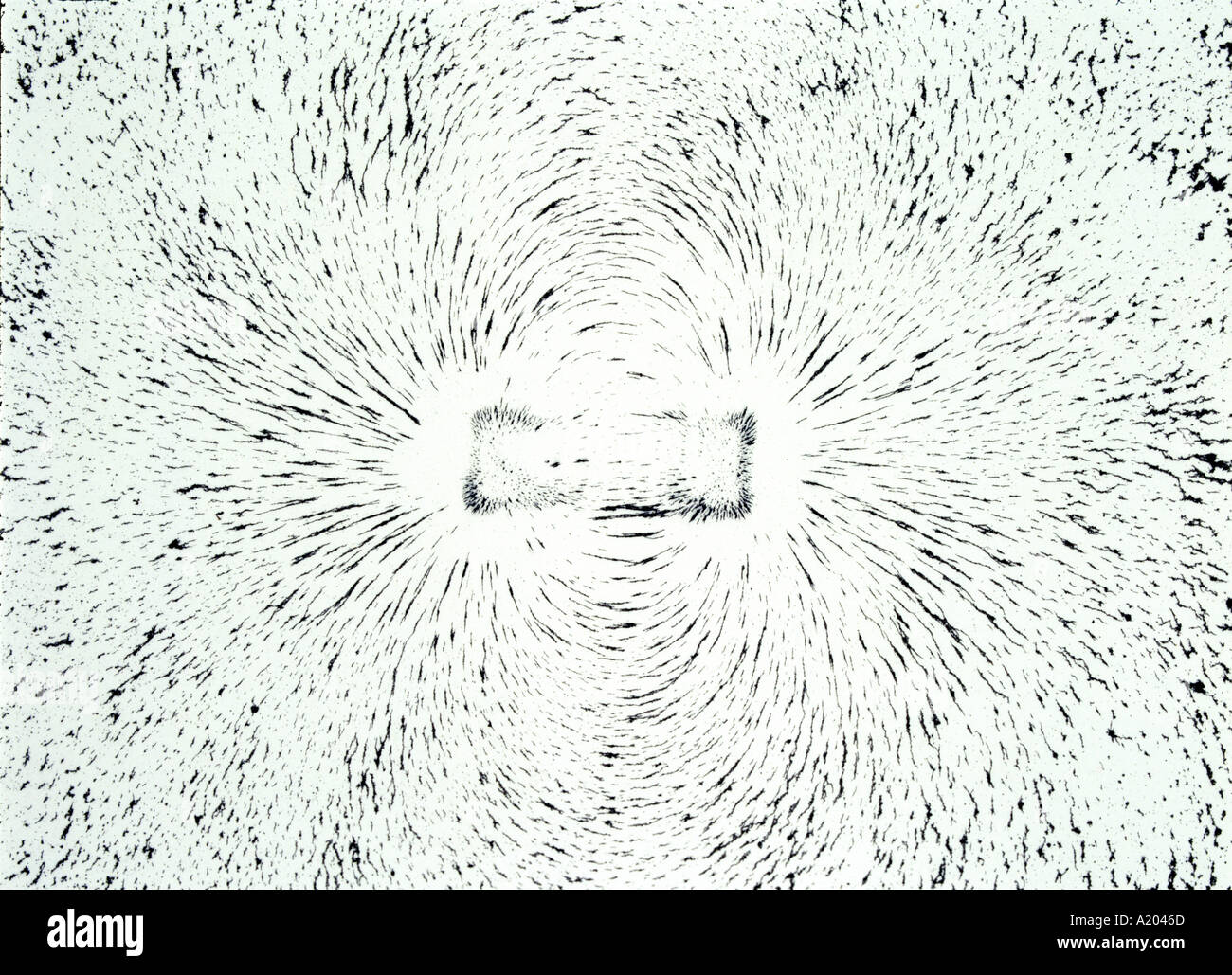 magnetic field round a bar magnet shown by iron filings Stock Photo