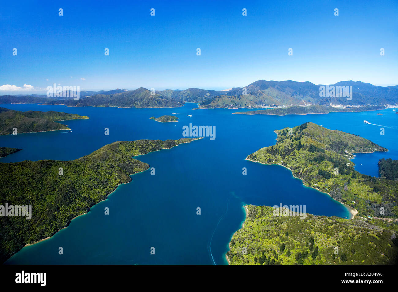 Torea Bay Queen Charlotte Sound Marlborough Sounds South Island New