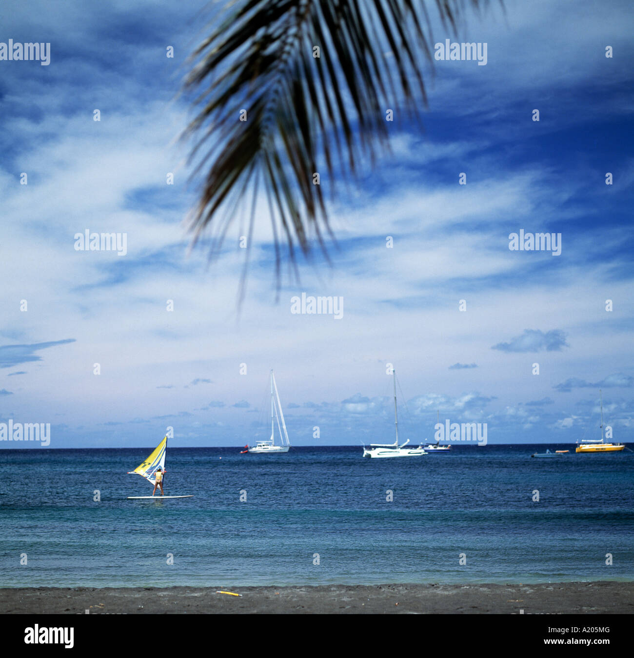 Tropical climate tropics hi-res stock photography and images - Alamy