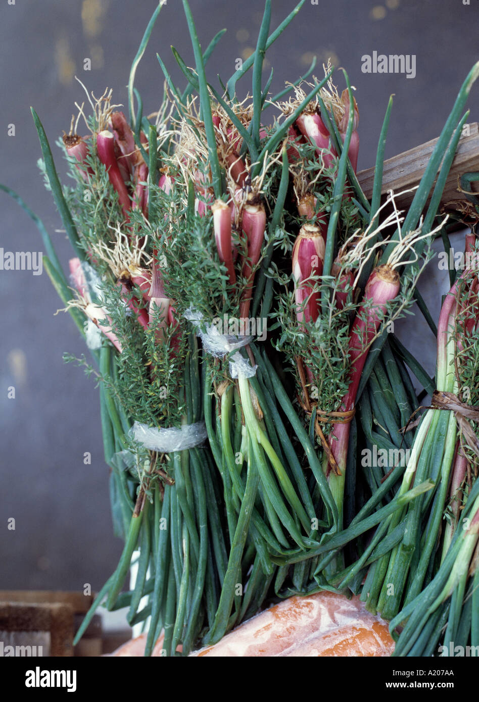 St George s Spice Market Stock Photo