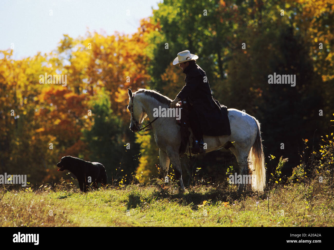 Man riding horse with his dog in New Brunswick Canada fall foliage Fall leaves Colours Cowboy hat Stock Photo