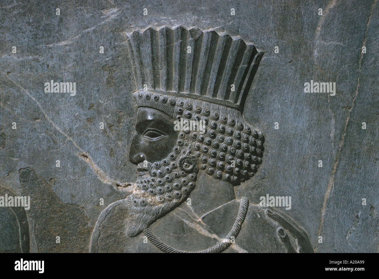 Bas-relief figure of guard or noble on frieze along outer wall of central palace; Persepolis in the Islamic Republic of Iran; Stock Photo
