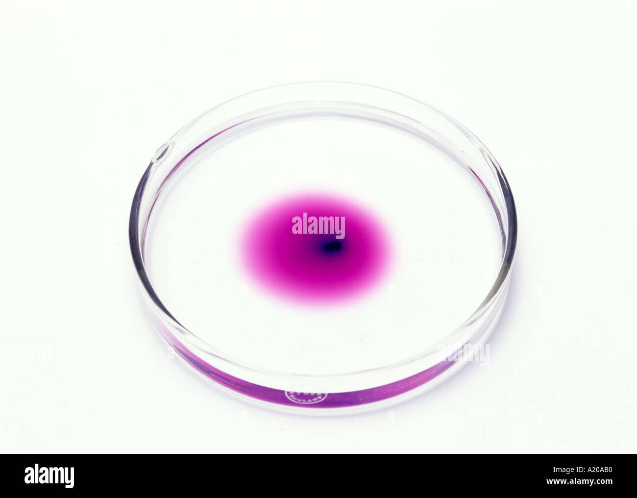 a crystal of potassium permanganate in a petri dish of water clearly showing diffusion Stock Photo