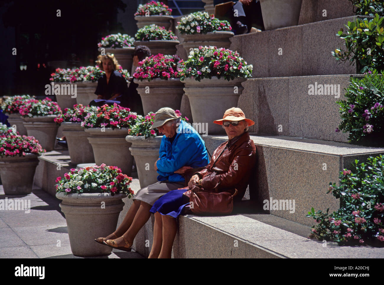 Flowerpots in San Francisco U.S.A. North America Stock Photo