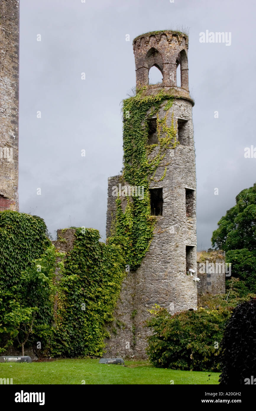 Tower at Blarney Castle, County Cork, Ireland Stock Photo