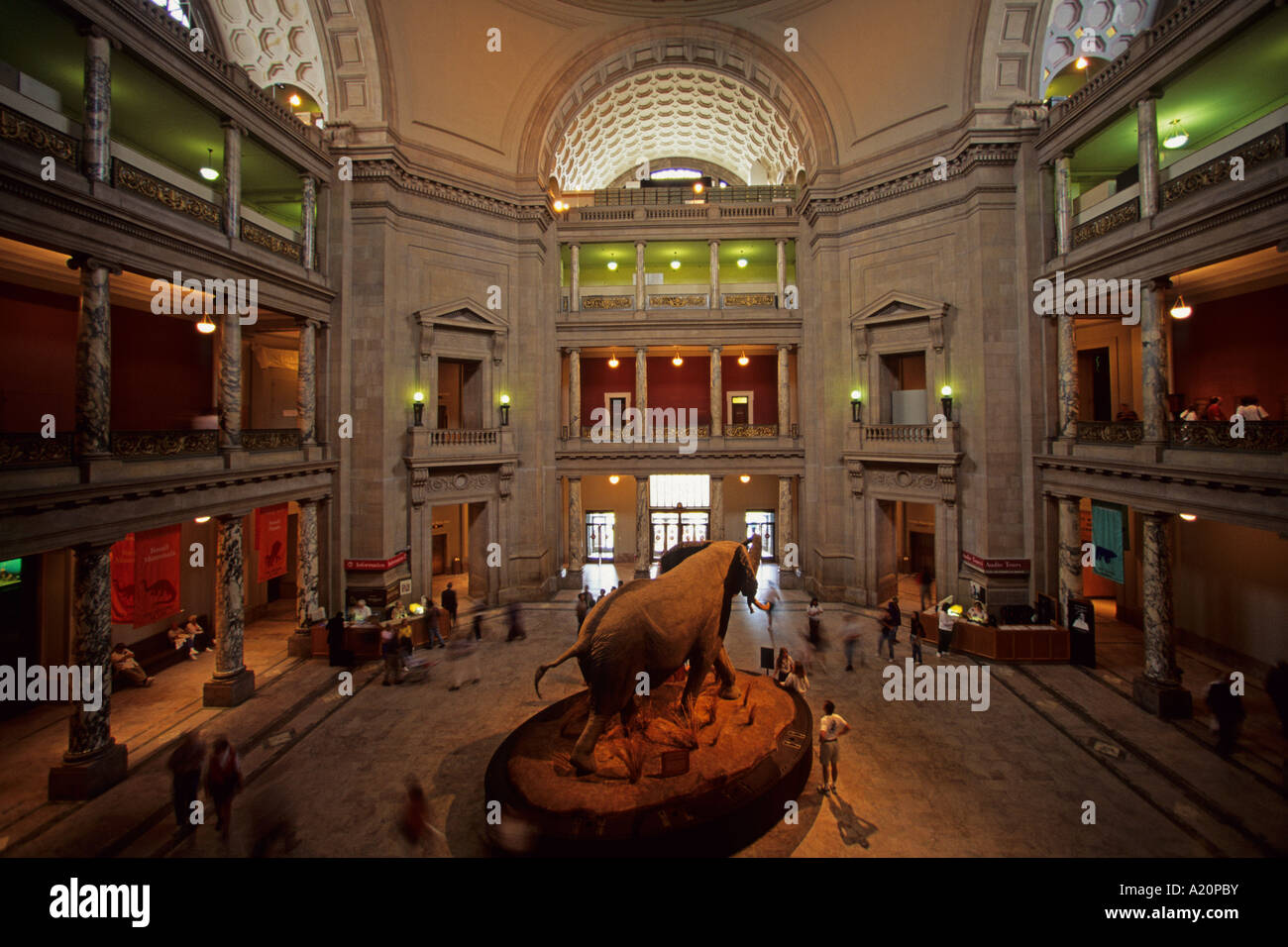 National Museum of American History in Washington D. C.U.S.A Stock ...
