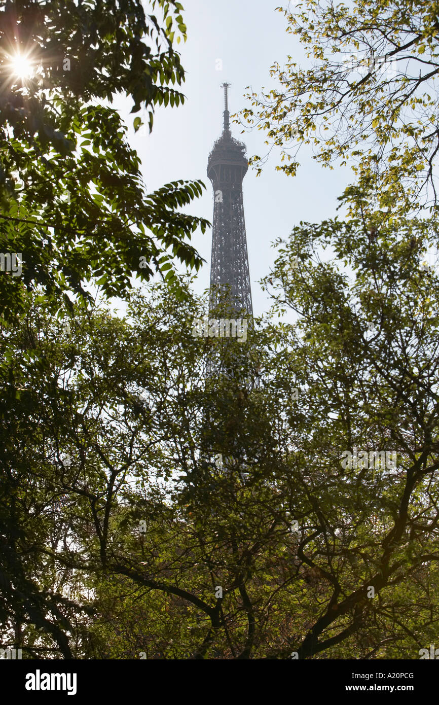 France, Paris, top of Eiffel tower through trees Stock Photo - Alamy