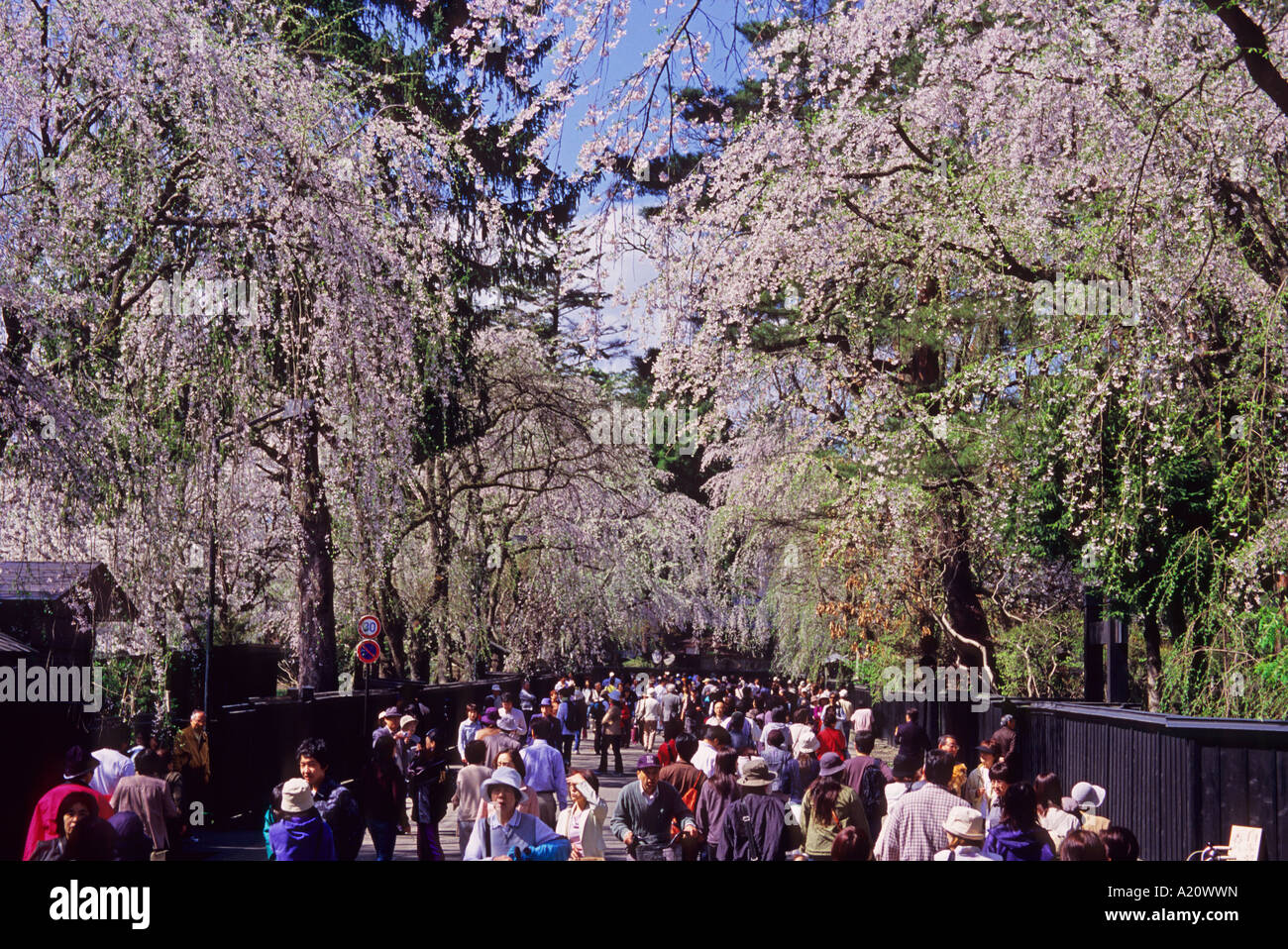 Haru haru hi-res stock photography and images - Page 12 - Alamy