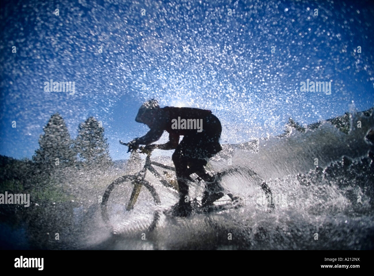 Mountain Bicyclist Splashing Through Water, side view Stock Photo