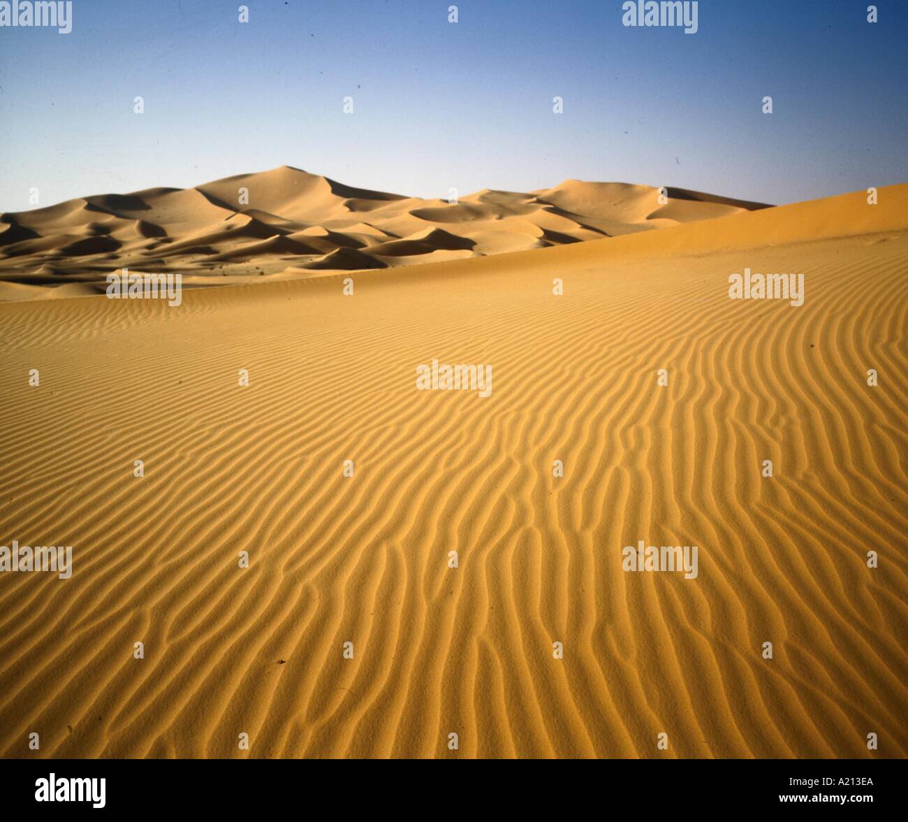 Sand dunes Grand Erg Occidental Sahara Desert Algeria Africa G Renner ...