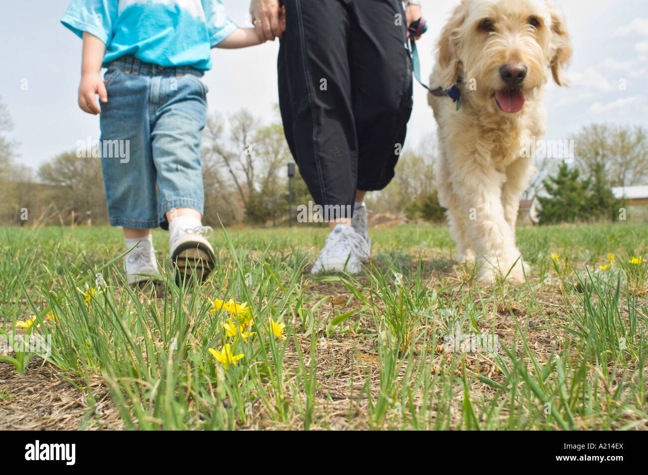 Harmony grove hires stock photography and images Alamy
