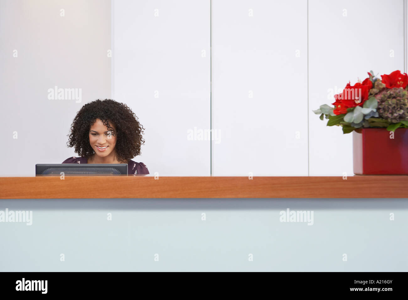 Receptionist sitting behind reception desk, Using computer Stock Photo ...