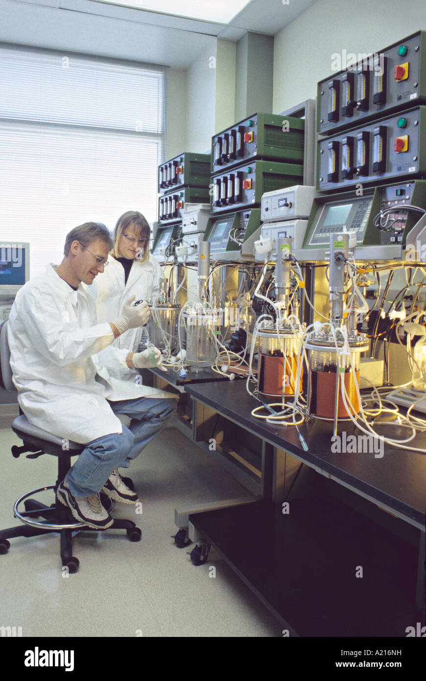 Model released man woman technicians working in bio engineering laboratory Stock Photo