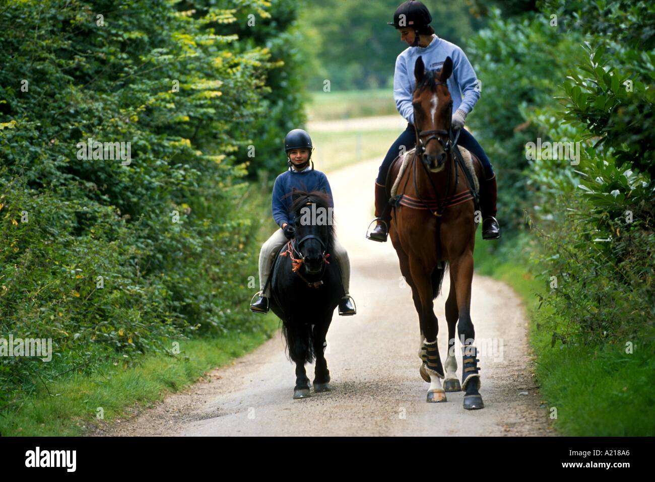 Horse and pony riding S Wood Stock Photo - Alamy