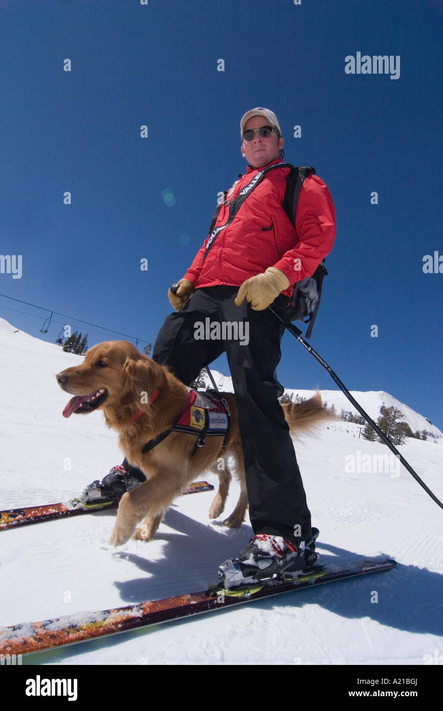 Golden retriever in snow jacket hires stock photography and images Alamy