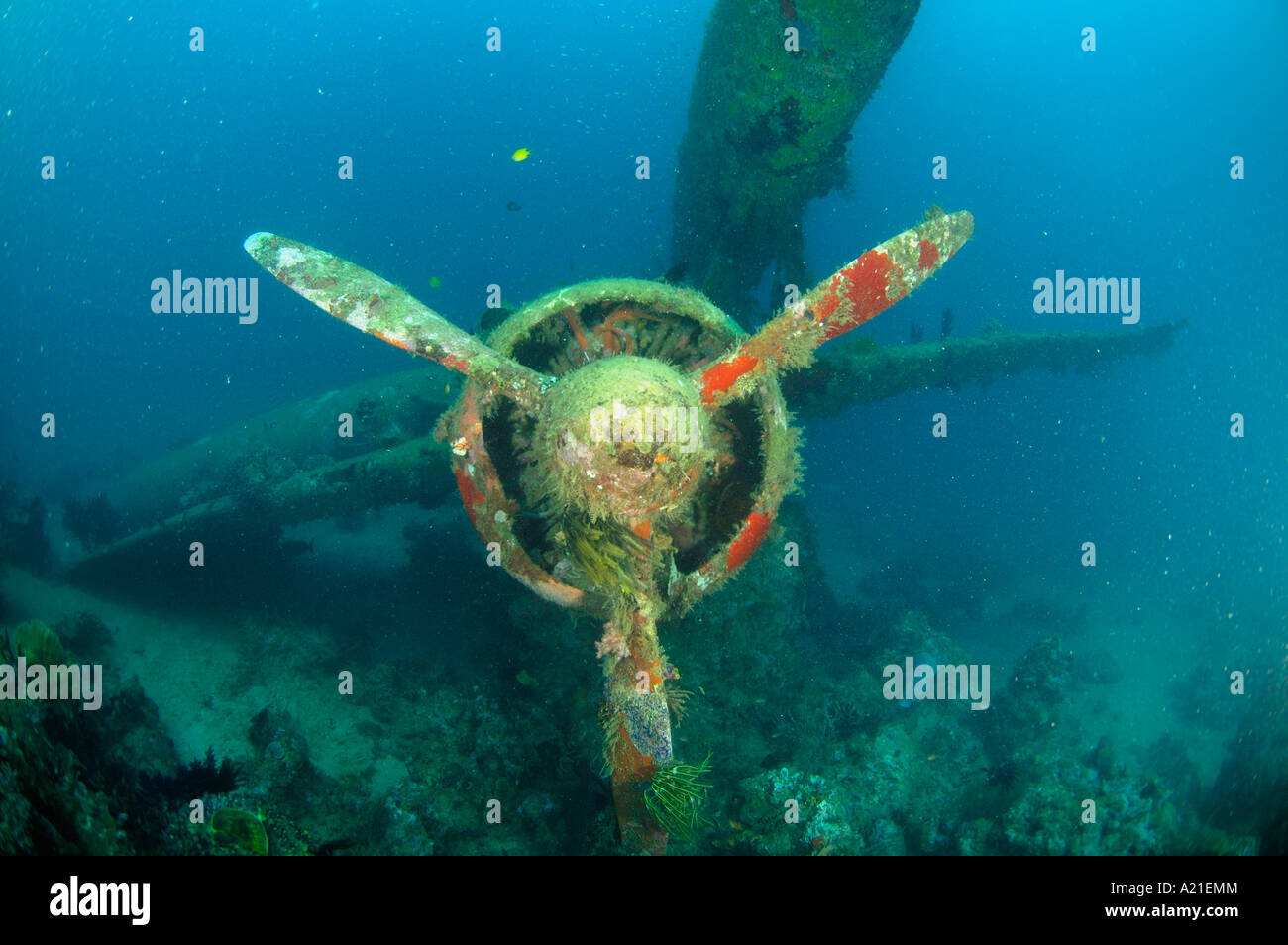 Wreck of a World War 2 US float plane New Britain Papua New Guinea Stock Photo