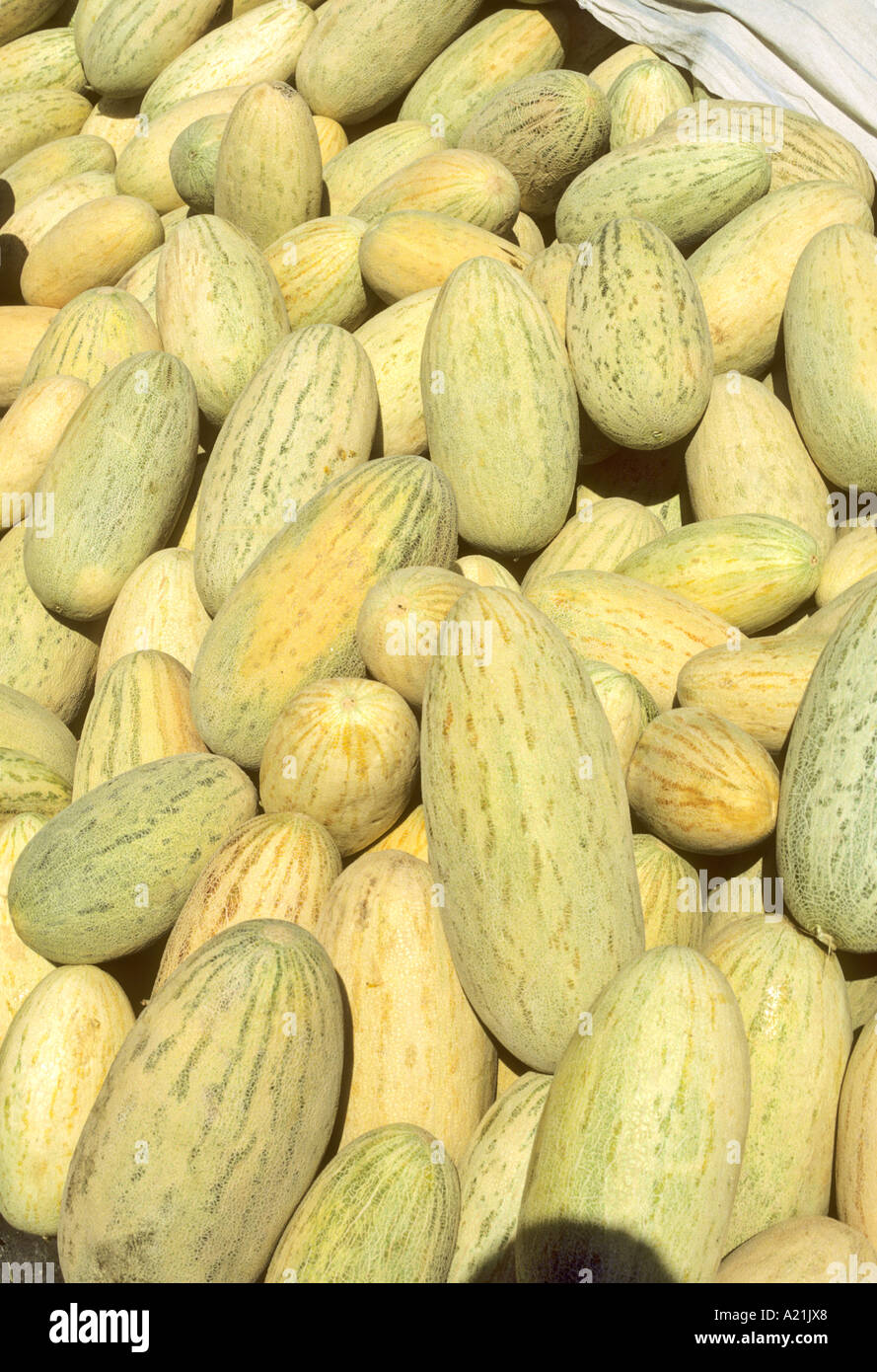 Cucumbers on sale in russian market Samarkand Stock Photo