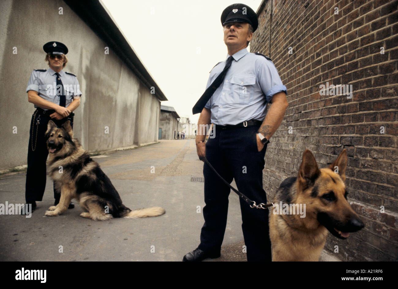 Prison officers with dogs at Parkhurst Prison, The Isle of Wight Stock Photo