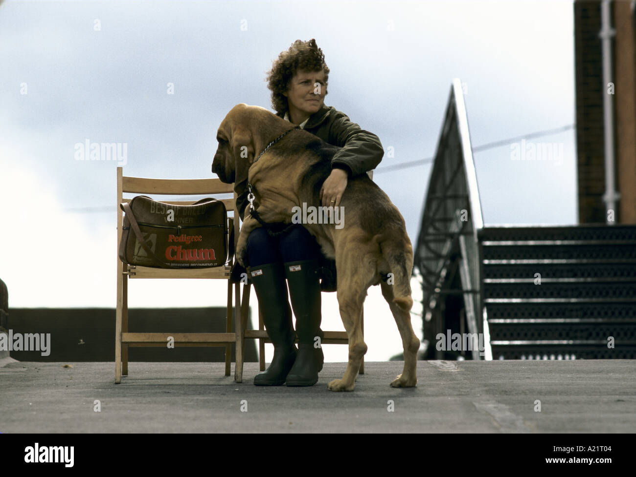 WOMAN WITH DOG ON LAP AT BLOODHOUND COMPETITION ASCOT 1985 Stock Photo