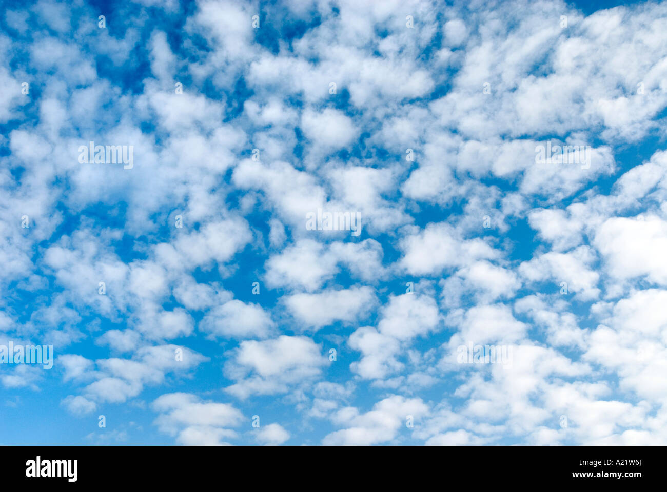 Blue cloud clouded sky hi-res stock photography and images - Alamy