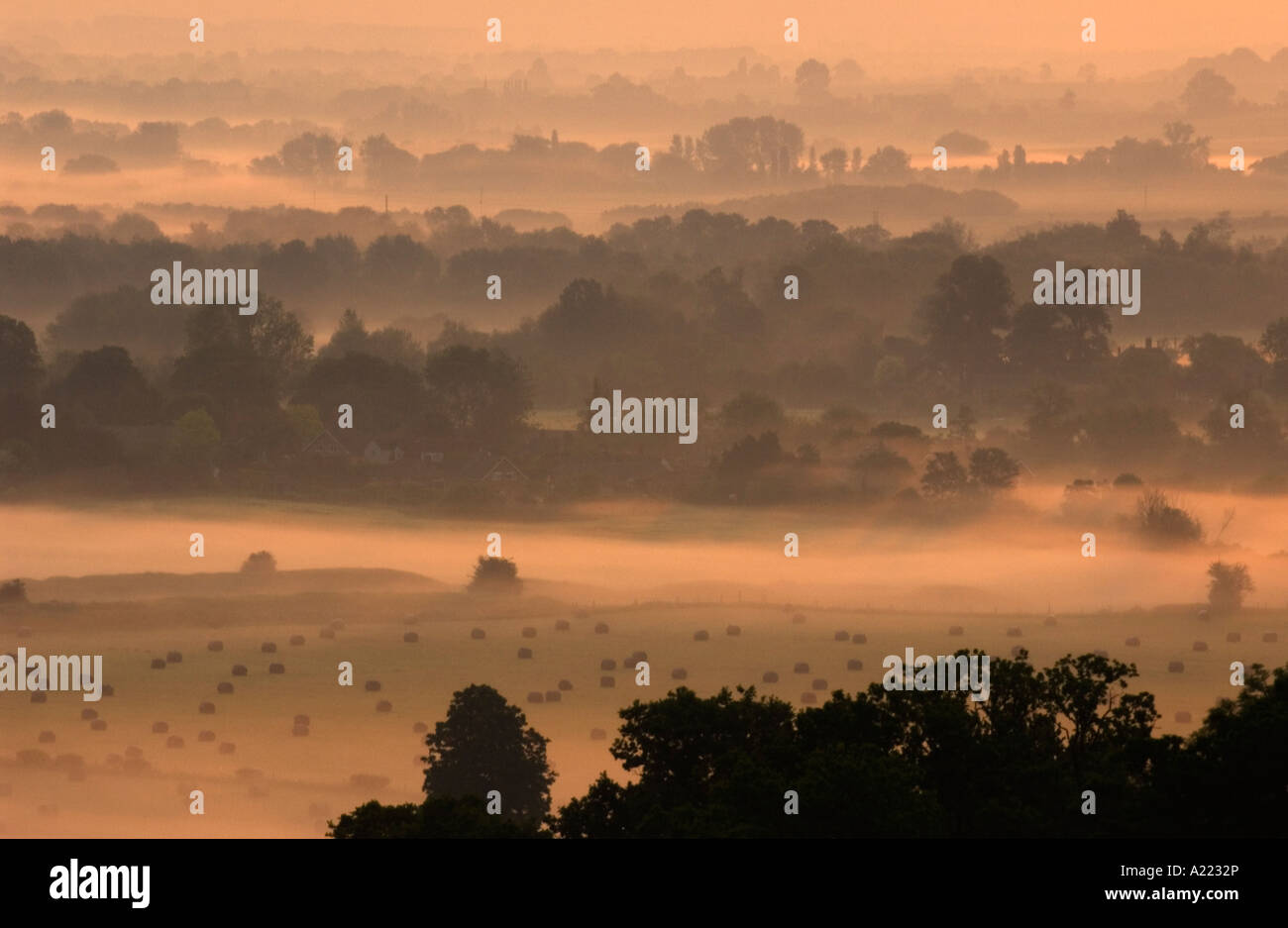 Dawn over Wittenham Clumps, Oxfordshire Stock Photo