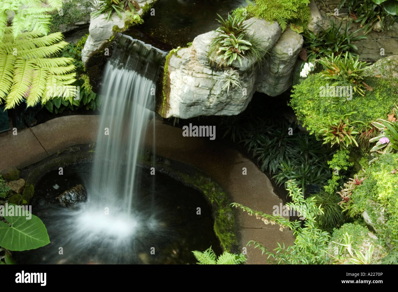 Slow motion water in pool hi-res stock photography and images - Alamy