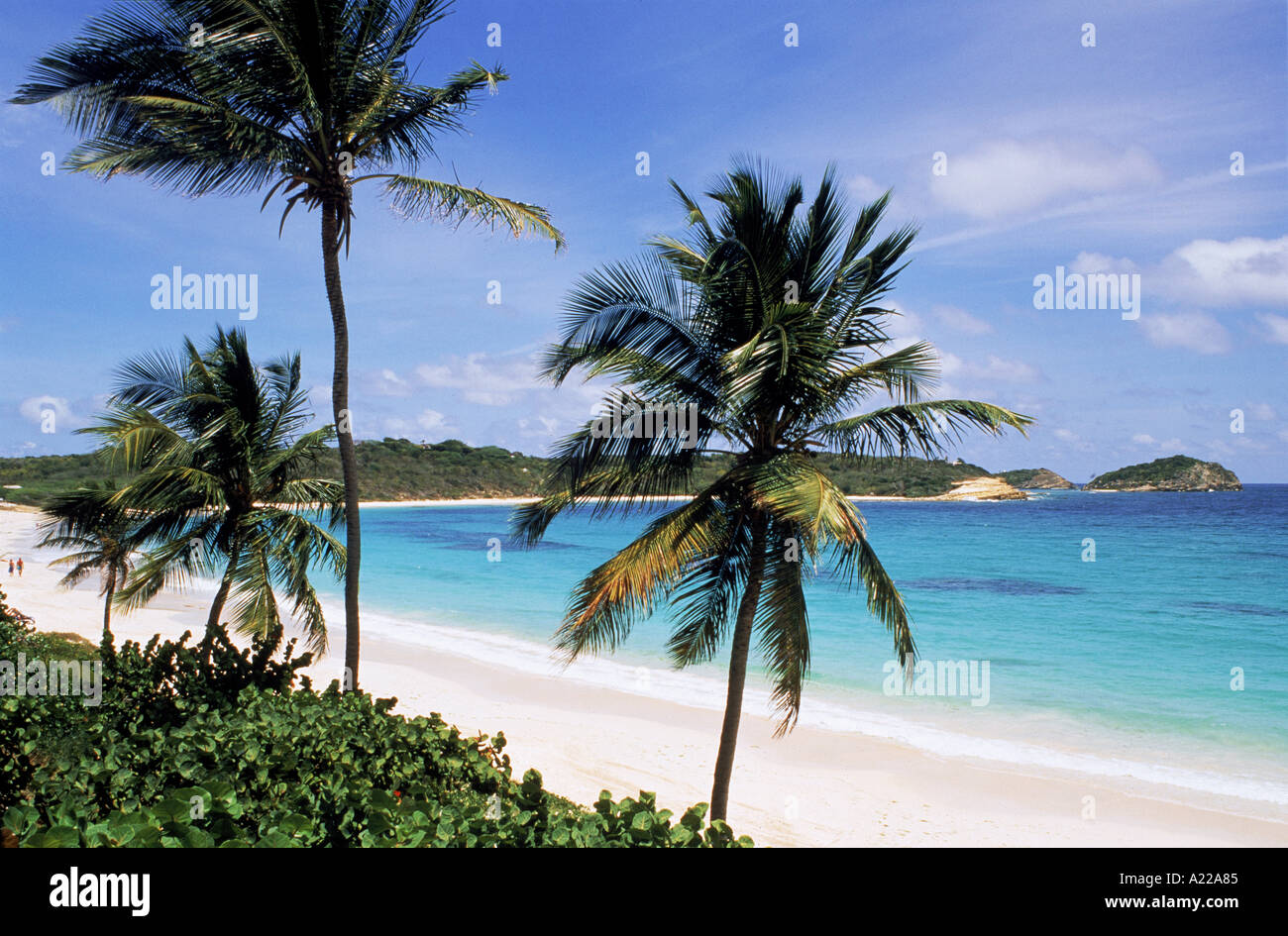 Half Moon Bay Antigua Caribbean J Miller Stock Photo - Alamy