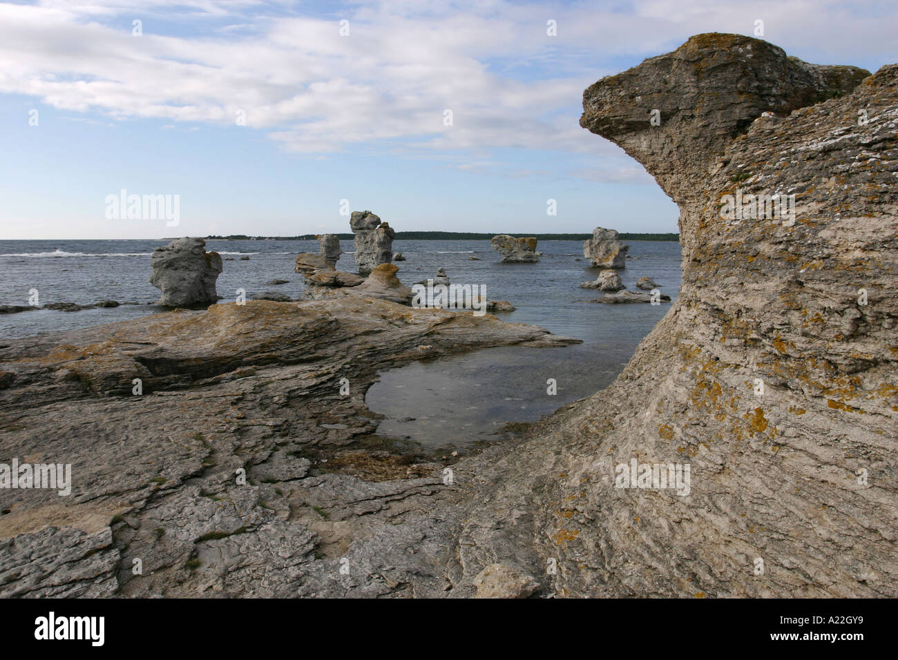 Limestone formations at Gamle Hamn on the island of Gotland in Sweden Stock Photo