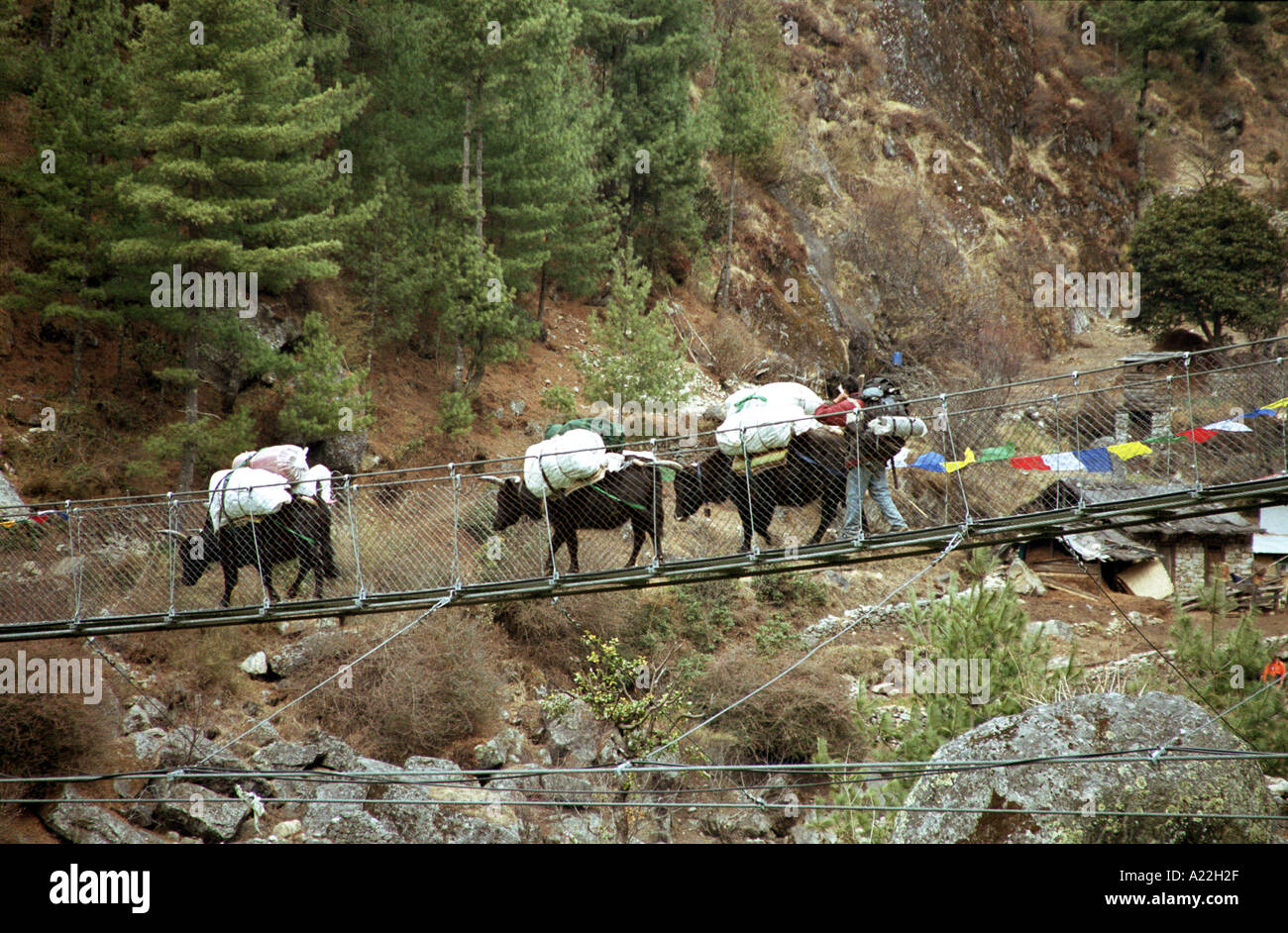 Nepal 2005 Lukla the village of Lukla acts as a gateway to the high Himalayan mountains 7 days walk from the Nearest road H Stock Photo