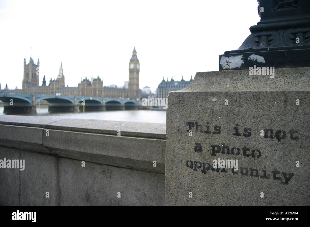 This is Not a Photo Opportunity | The Now Evening Auction