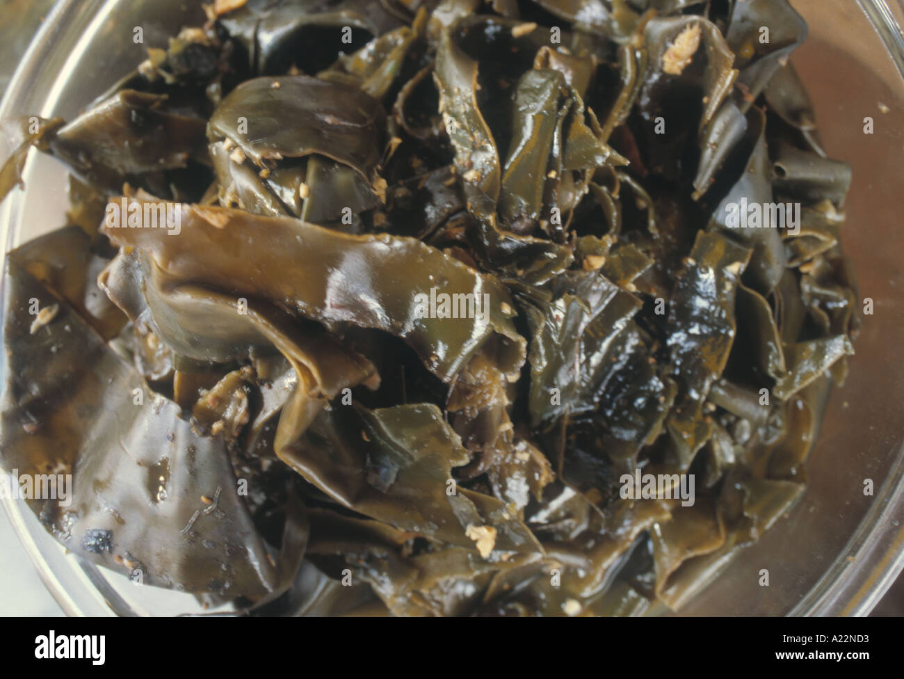 seaweed kelp and sea vegetables on sale in english market west Cork