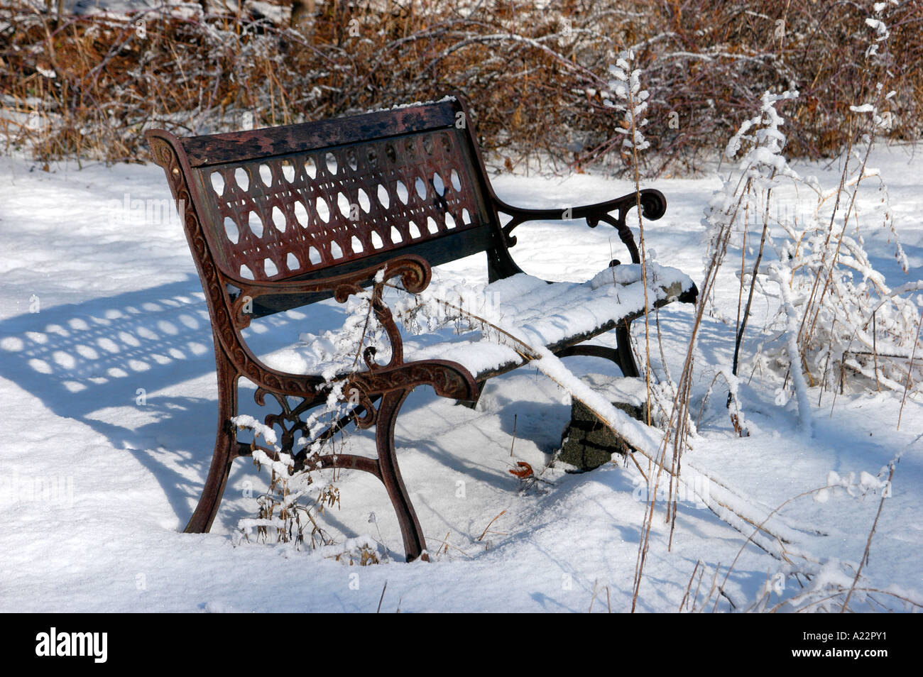 Rusted iron bench in the snow Stock Photo - Alamy