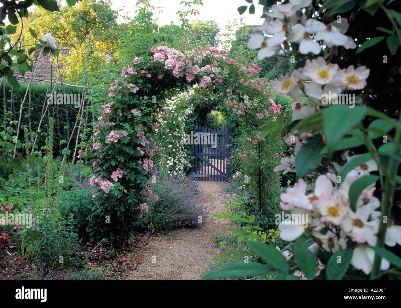 Garden arch roses hi-res stock photography and images - Alamy
