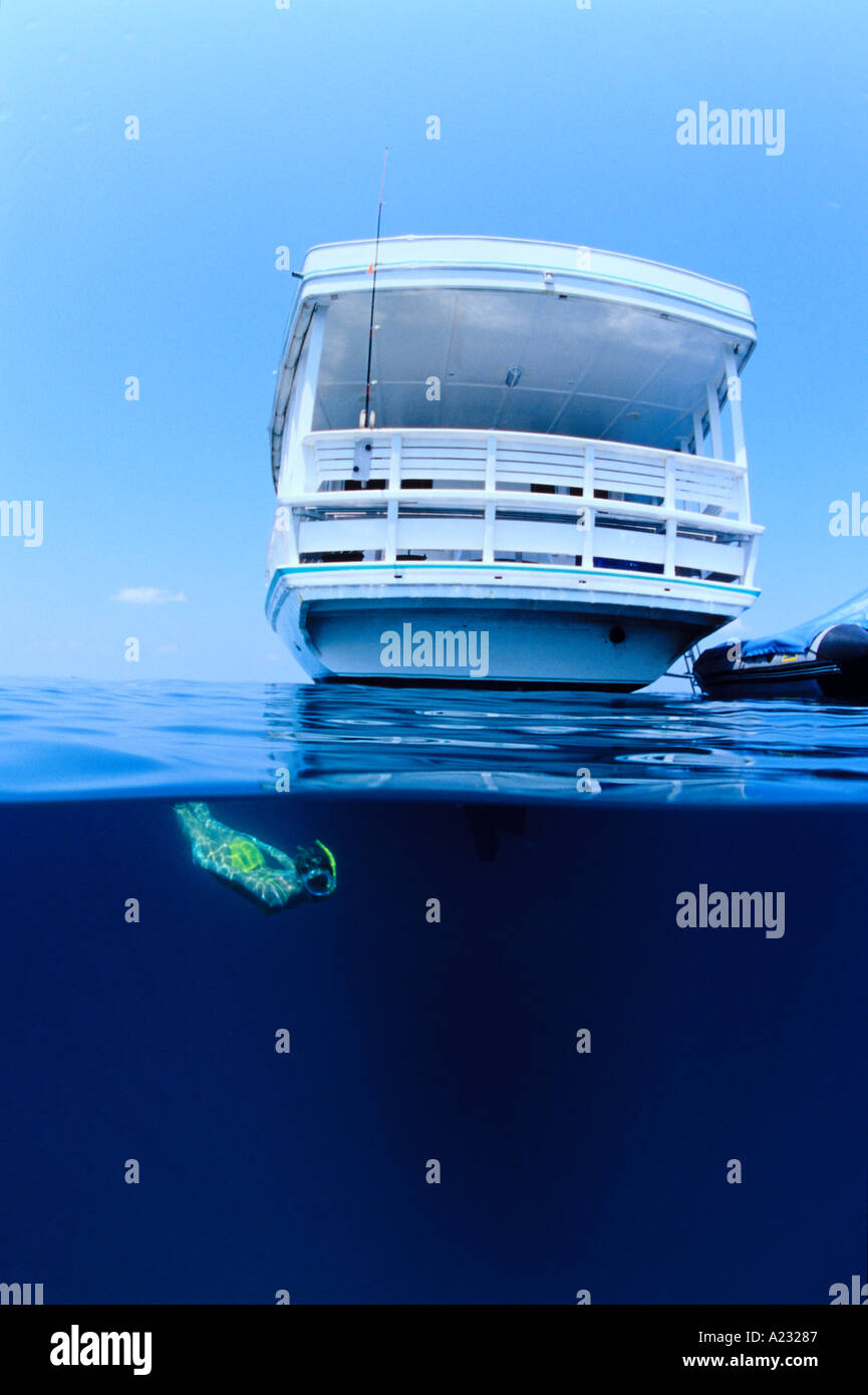 skin diver under a boat Stock Photo Alamy