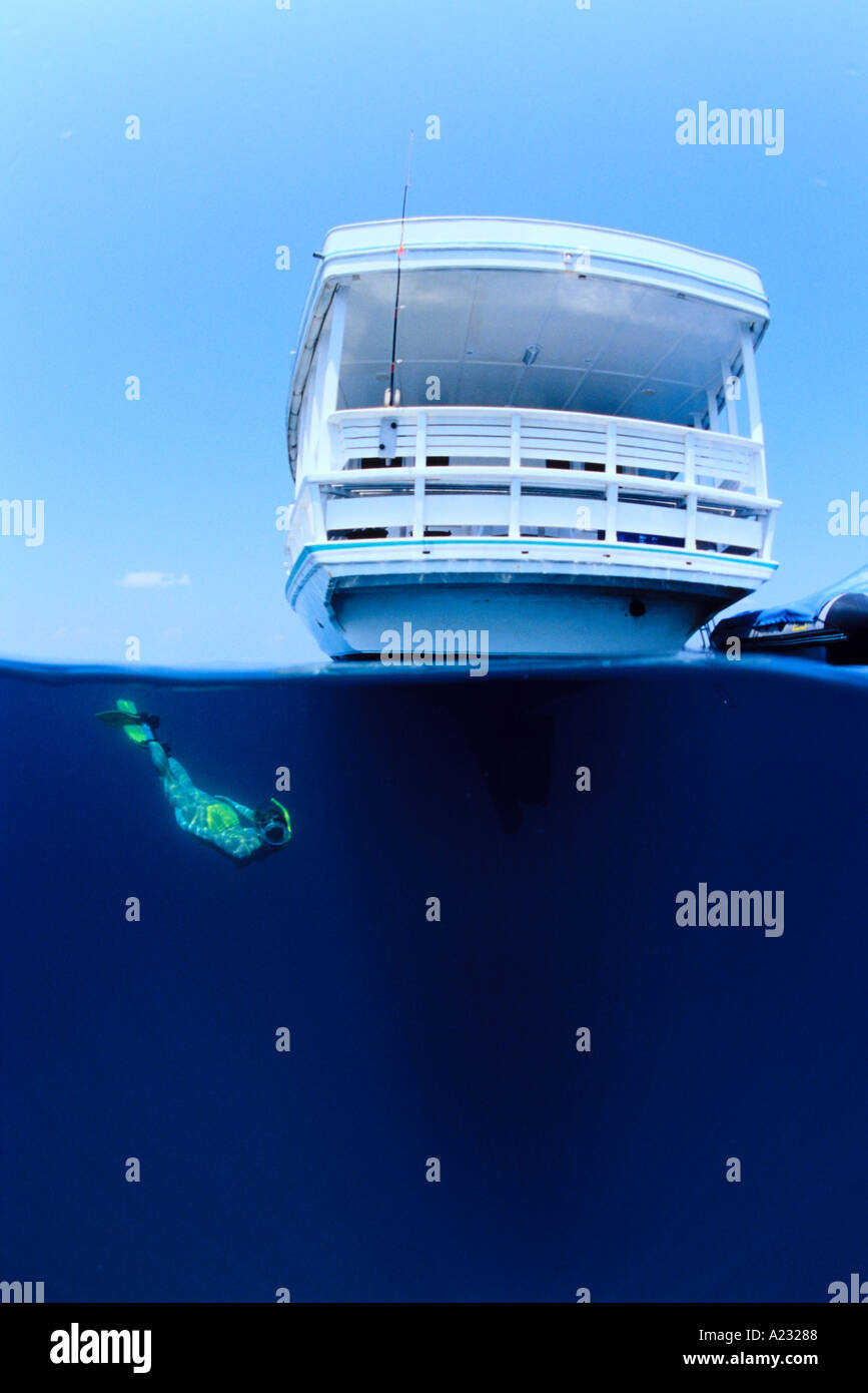 skin diver under a boat Stock Photo Alamy