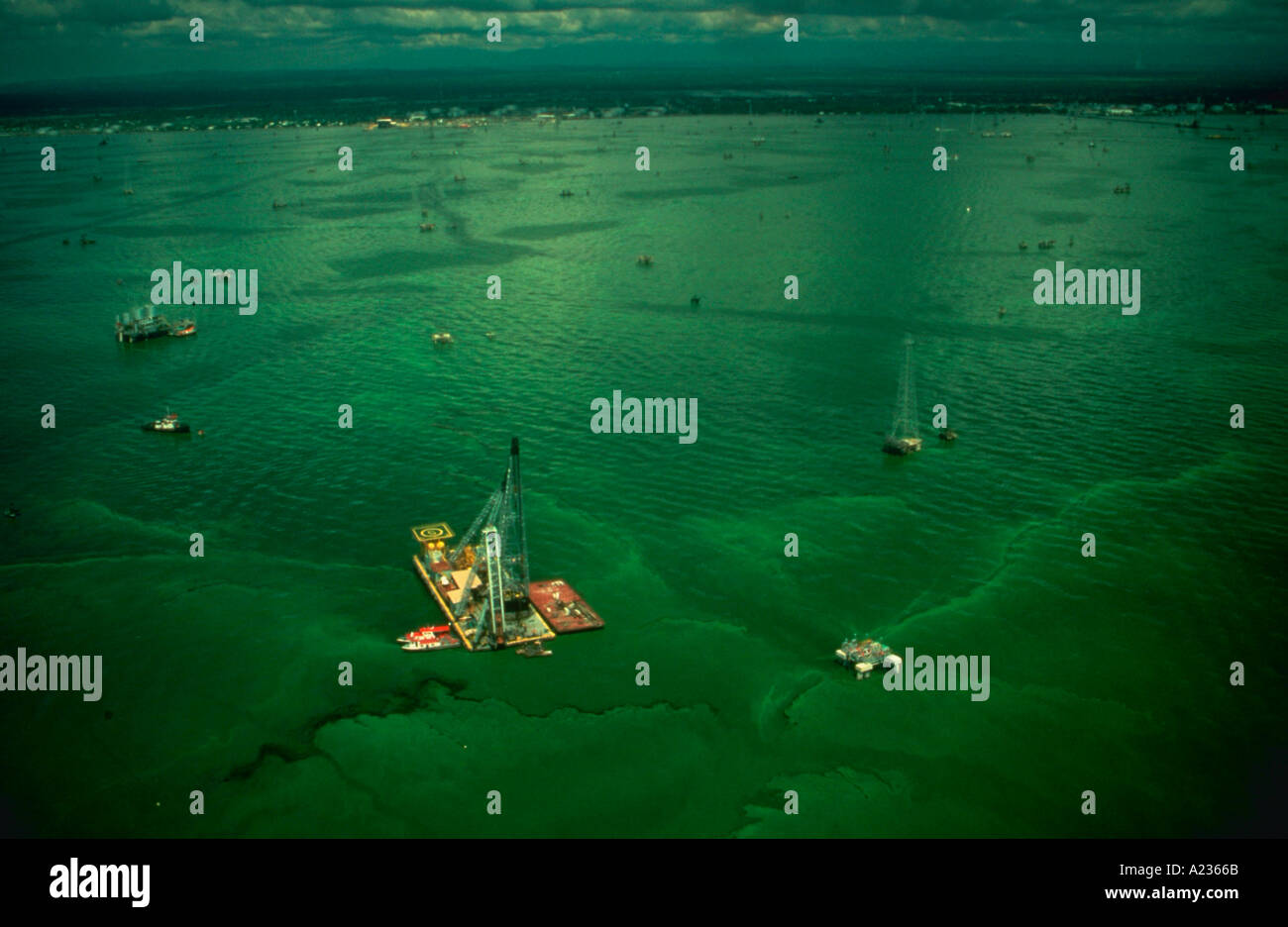 Green algae surrounds Lagoven oil company drilling equipment on Lake Maracaibo in western Venezuela Zulia State Stock Photo