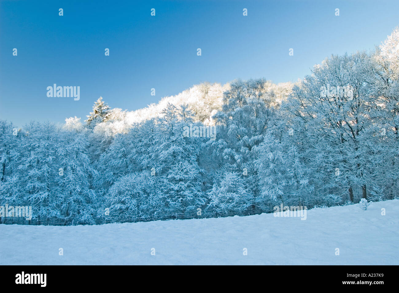 Cold R Winter Fall Cold season hi-res stock photography and images - Alamy