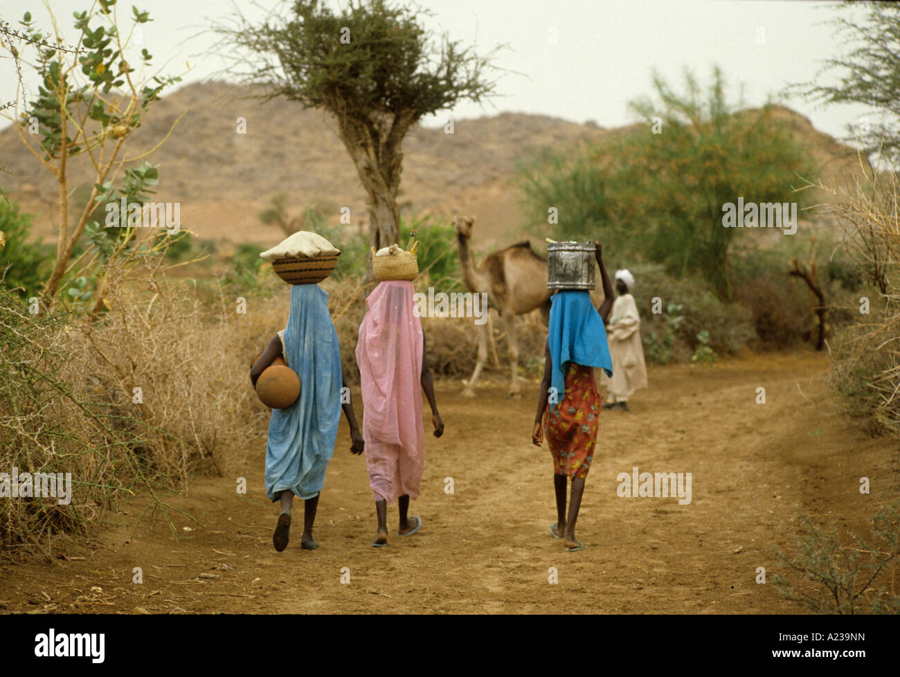 FAMINE IN SUDAN 1985 EL FASHER DARFUR REGION OASIS IN THE DESERT WOMEN CARRY PRODUCE Stock Photo